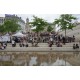 Les berges du Rhône du pont Wilson au pont de la Guillotiere