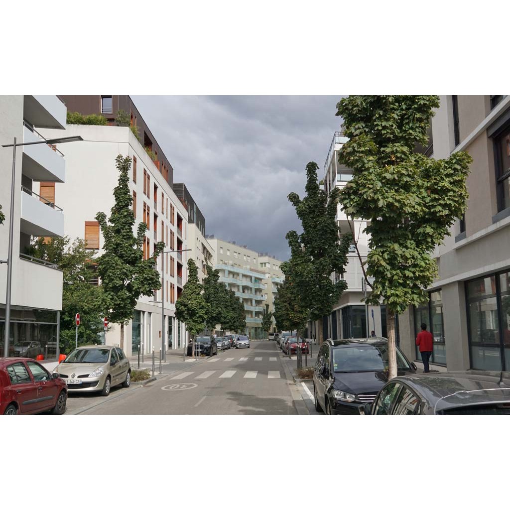 rue simone de beauvoir – Ecopet