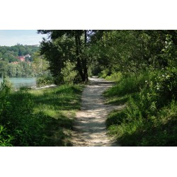 Les Berges du Rhône de la passerelle de la Paix au pont Churchill