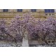 Place de la Bourse