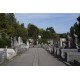 Cimetière de Saint Rambert