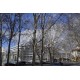 Place du Prado