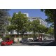 Cours Gambetta