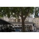 Place Antoine Rivoire