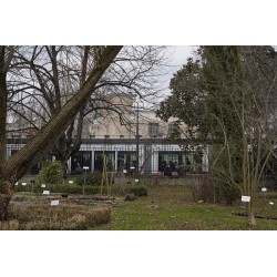 Jardin Botanique de la faculté de Pharmacie
