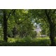 Parc du Château des Mères