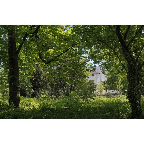 Parc du Château des Mères
