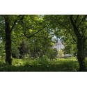 Parc du Château des Mères