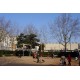 Place Flammarion