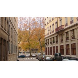 Rue Joannès Drevet