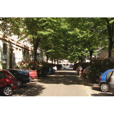 Rue François Garcin