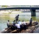 Spectacle inattendu au pied du pont Koenig, les radeliers de la Loue en train de construire leur embarcation en préparation des 