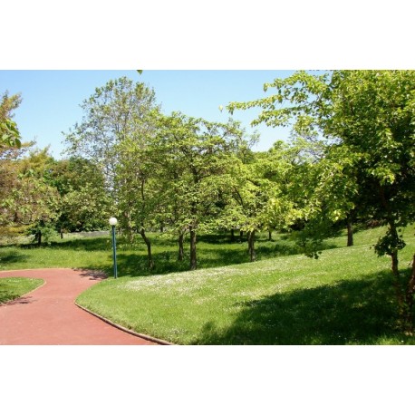 Jardin Pierre Thévenin