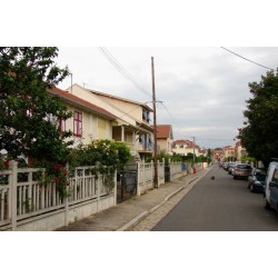 Avenue des Acacias