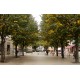 Place Edouard Commette