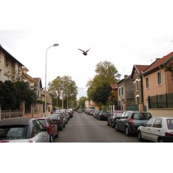 Rue Emile Combes
