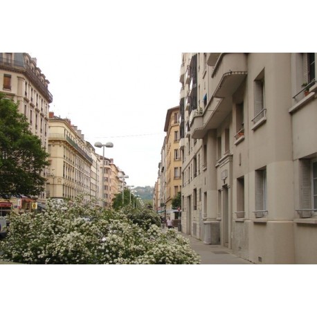 Rue Chevreul