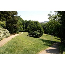 Parc de Montpellas Saint Rambert