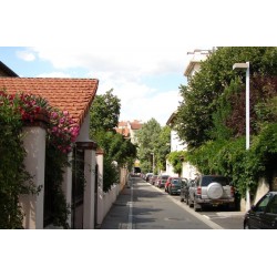 Rue des Lilas