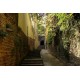 Rue des Contrebandiers