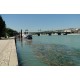 Les berges du Rhône du pont Gallieni au viaduc SNCF