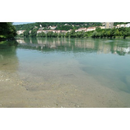 Les berges du Rhône du pont Poincaré à la passerelle de la Paix