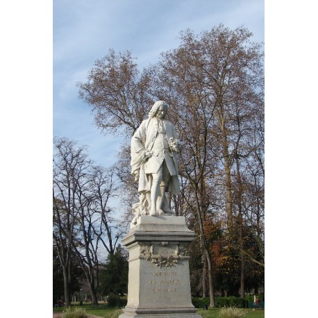 Les statues du parc