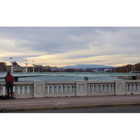 Les ponts du Rhône