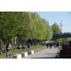 Berges du Rhône de la passerelle du Collège au pont Lafayette